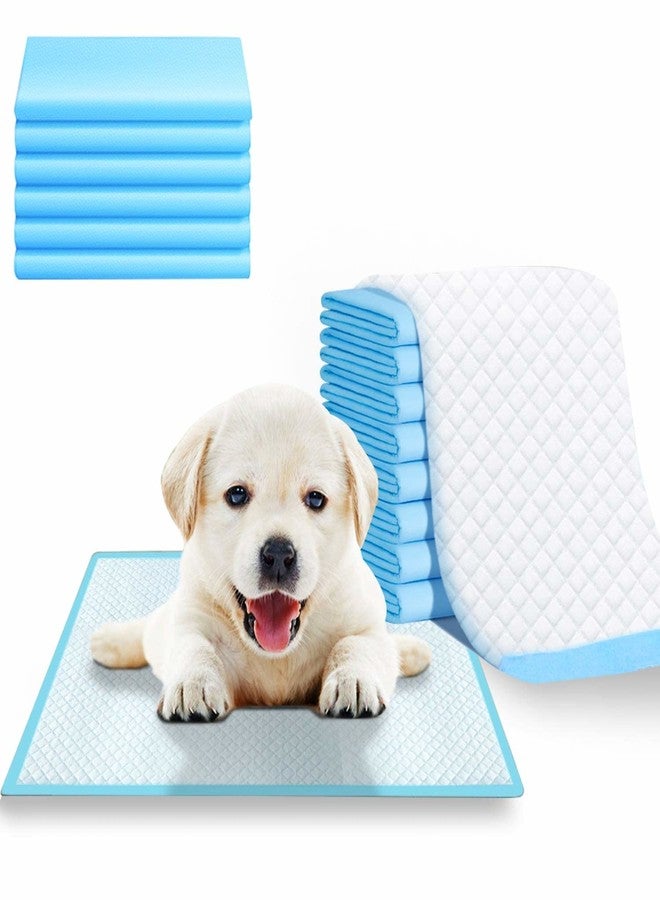 Aksh Disposable Pet Training Pads 60x40 cms Small Puppy Pee and Potty Pads with Quick Drying Surface & Absorbent Core, Suitable for Small/Medium/ Breed Pets, Dogs, Cats - Pack of 1, 20 pcs - Image 1